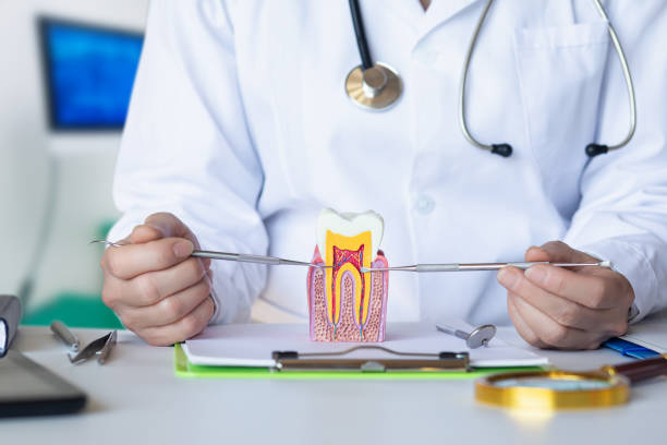 Best Emergency Tooth Extraction in Everman, TX